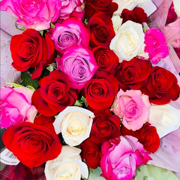 Meet your Posher, Luke - Picture 1 of 1